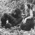 �L�w����A1932-1985