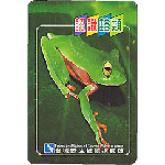 �C�켳�J�P