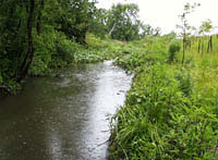 Martin's Creek