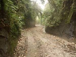 �Q���g���ӹL���ձ���