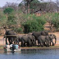 �j�L�i�i���ɤ�����O�@���j�H�����v�k��IUCN - The World Conservation