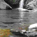 �������M��