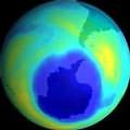 ���h���F�u�}�}�v�A�a�y�ͪ������~�u�I�`�{�פj�T�����C�]�Ϥ��ӷ��GEnvironment News Service(ENS)�^
