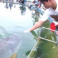 �Ҫi���ä��̡A�ݨ����P�l�A�N���D�Y���ɶ���F�C