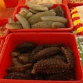 �����W�c�⪺���Ѥj�h�O�q���n���w�B���굥�a�i�f�C