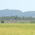 ��D�Q���Ǫ��o���_�СA�O���̤j�򪺹w�w�a�C