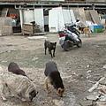 �p�H���e�ҧY�N�n�Q��A�@�ʦh�����y�����n��h��q�H