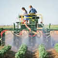 Misting the point: spraying with diswashing detergent and cooking oil.(Photo: USDA.)
