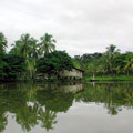 Tortuguero�B�e�u�����P