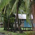 Tortuguer���~�������۵M����A�H�[�������ΧΦ��P���M�Ӧ@�s