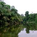 Tortuguero�B�e��ǻa�{�����a�B�L