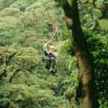 canopy tour�G�Ʀ������W�A�b�˪L���W�Ҷi�檺�u�𳻮ȹC�v�C