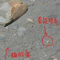 �Q�ӸH�p�P�ê��J�]�Ӥ����ѡG�������O�p�����Ŵ��^