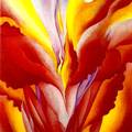 Red Canna, c. 1923�]�Ϥ��ӷ�Regina Pacis Art/Author�^
