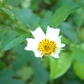 �j��w�ׯ�