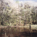 �t���c���H�U���Ϥ����v�k�ݪ��Ϊk�H�饻����H�U��|�]The Association of National Trusts in Japan�^