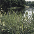 �U�Фt���H�U���Ϥ����v�k�ݪ��Ϊk�H�饻����H�U��|�]The Association of National Trusts in Japan�^