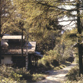�O�s�j���J���Ρ��Ϥ����v�k�ݪ��Ϊk�H�饻����H�U��|�]The Association of National Trusts in Japan�^