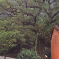 �s��:�_08�����:�XФ����/����:15�����|:1.5���~��:150���a�I:�K���m�y����y��|