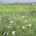 �Ӥ��G�B�j�����}���ʦX��