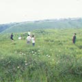 �Ӥ��|�B�M����