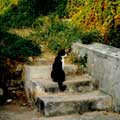 ���J