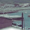 �u�^�d�A�A�n�ܡH�v�@��