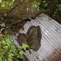 鐵板嵌入讓水滲出
