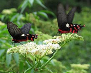 �j�����񽺮i�ͭ���
