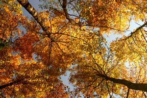 �j�D�����G�������@�̡G���s������a�I�G����ù�j�D