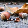 ��ѱ������a���ߤ��G��C�]�}�ŧg��^