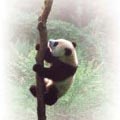 ��6.���ߦb180���֥H��K�|����