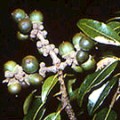 [�űa�︭�L]��ټ̴ߪL�a�A�L�����D�`�״I���U�ؼ̬�B�ߤ��Ӫ��G��ҥH￾���ʪ��]�۹���h�C