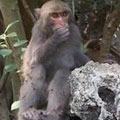 �n�U�Q���G���H�����A�z�]�z�����C�]�����F�@��v�^