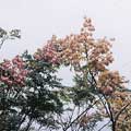 �K�Y�����w���G