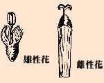 ��6. �ѥ]�𪺶��ʪ�P�۩ʪ�