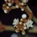 ��5.�j���d������O�զ�A���|�u��5������A�B�P�@��ǤW�C���Ȧ�5��6���P�ɶ}��C