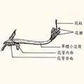 ��5.�h����ä���դ�Ĭ��A�i�H�ݨ�̭��e�u����p���v���������C