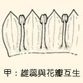 ��5.�����P��ä����m�G�ҡB���͡C