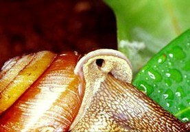 �������I�l��