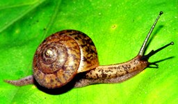 �����߽����O�p������