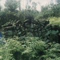 �æb���O�����۫μo�V�C
