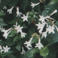 �K�Ѷ}�᪺�饻�D�گ�